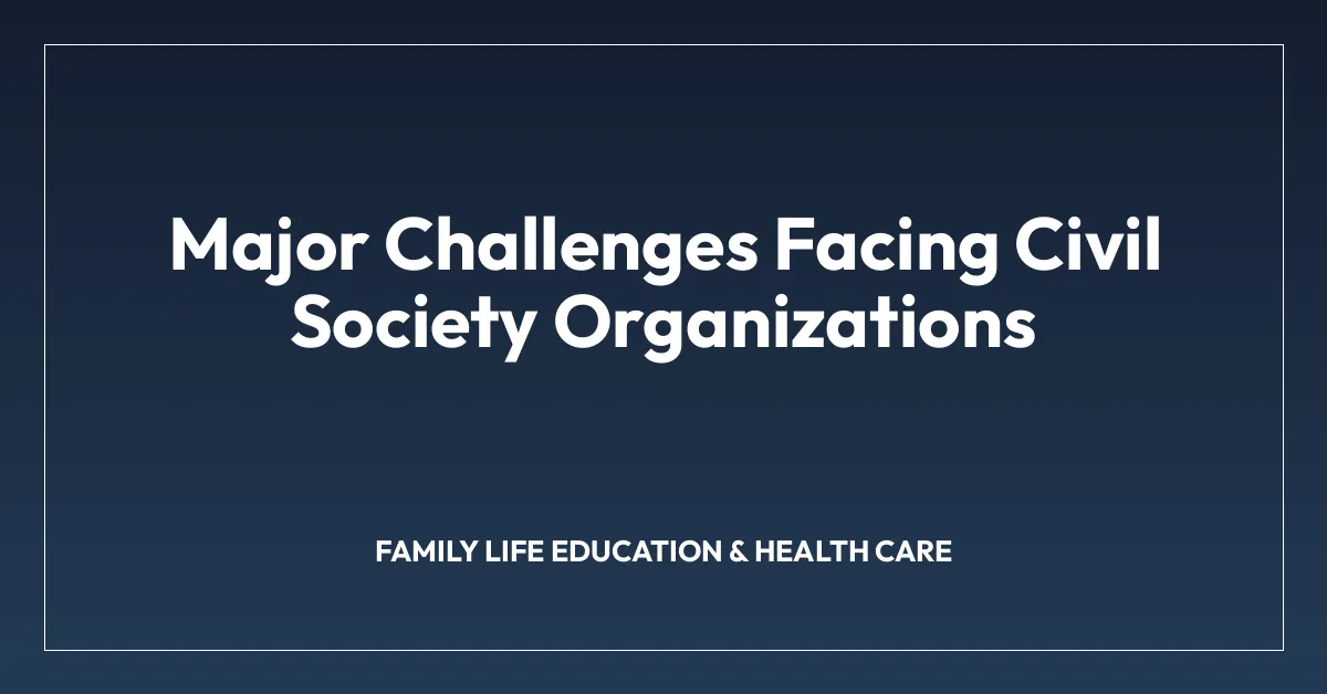 Major Challenges Facing Civil Society Organizations